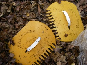 These are my "handi-hands" totally wonderful for scooping up leaves (or seaweed!!)