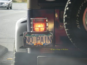 And on the way home, stopped at a light, I saw this impressive license plate .. the driver waved at me .. ha ha ha.. true, no pain, no gain, how appropriate this was!