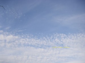 Lovely lovely love blue skies