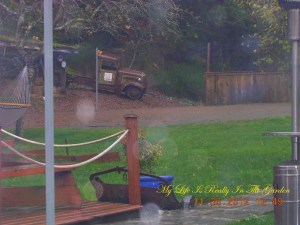 Looking out the window ... see the great old truck 