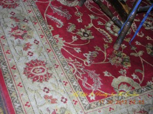 The usual area carpet .. nice though