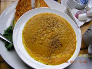 We both ordered the curried squash soup . yu