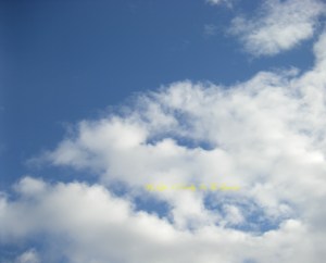 Blue skies .. from last week 