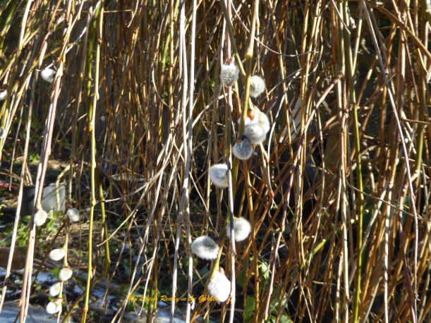 Blog photos, June 5, 06