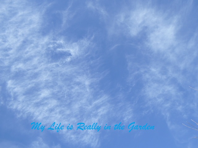 Blog photos, June 5, 07