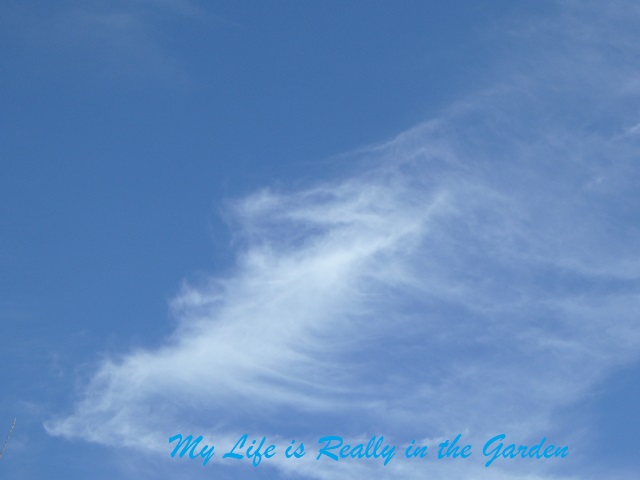 Blog photos, June 5, 08