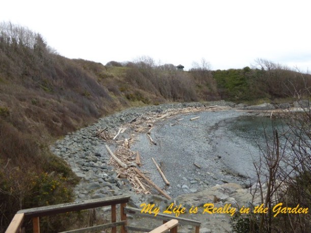 Blog photos, June 5, 09