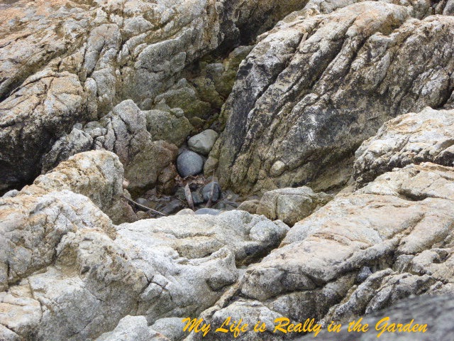 Blog photos, June 5, 10