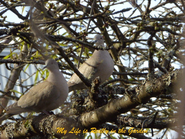 Blog photos, June 5, 2018 03