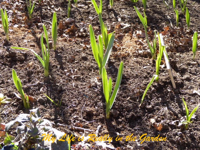 Blog photos, June 5, 2018 04