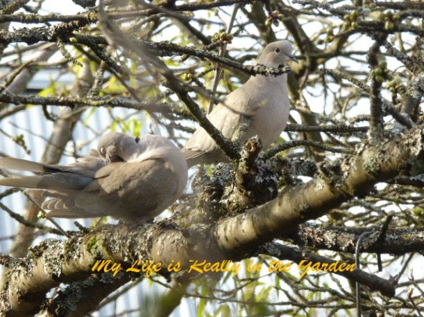 Blog photos, June 5, 2018 05